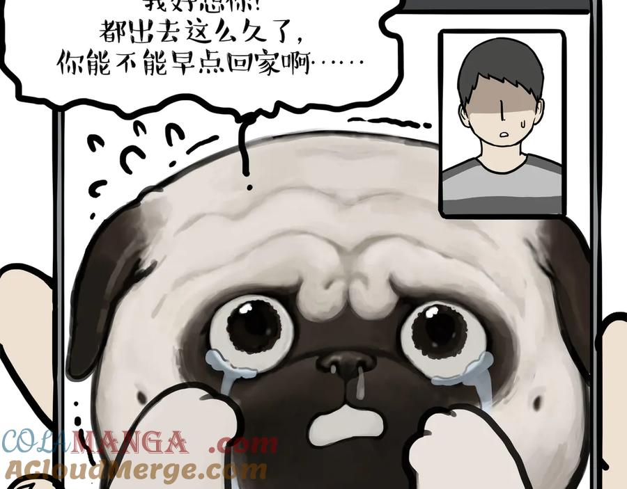 第451话 越养越像3