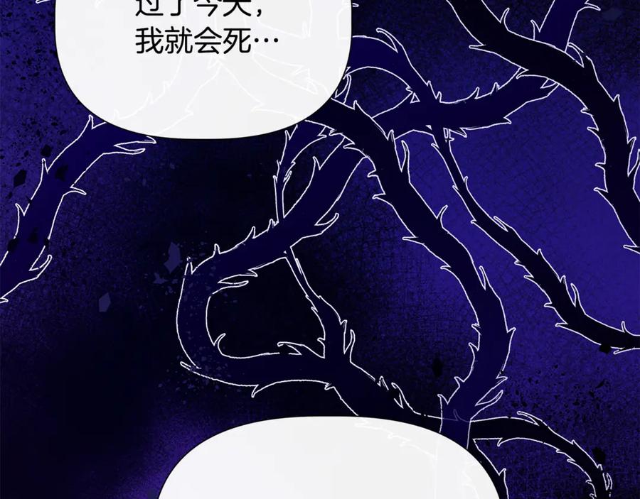 第108话 移形换影1