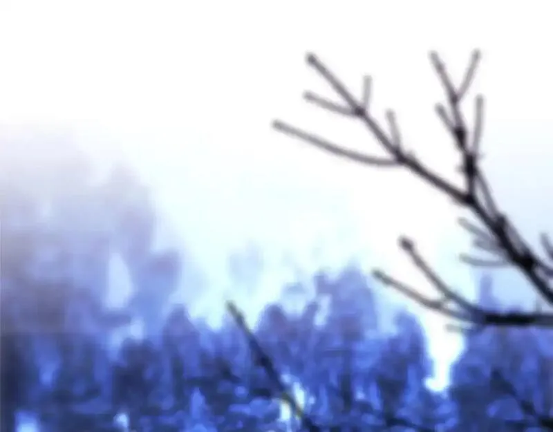 第87话 夫妻同心，其利断金0