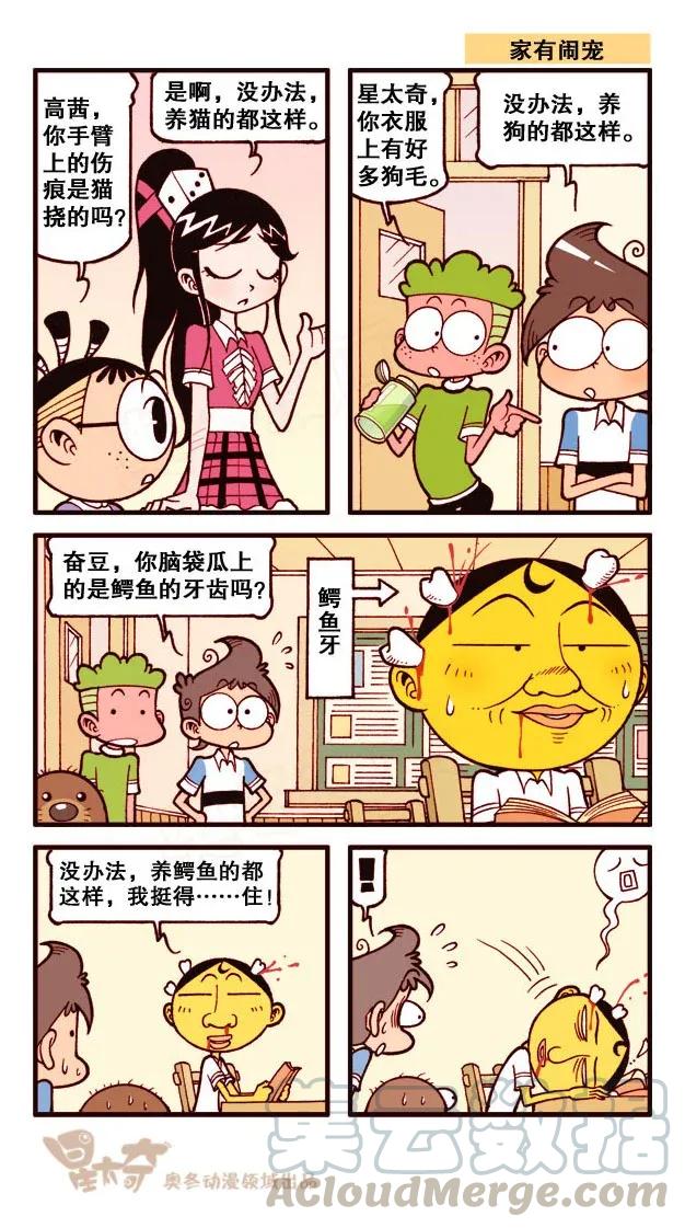 星之175 光荣登榜4