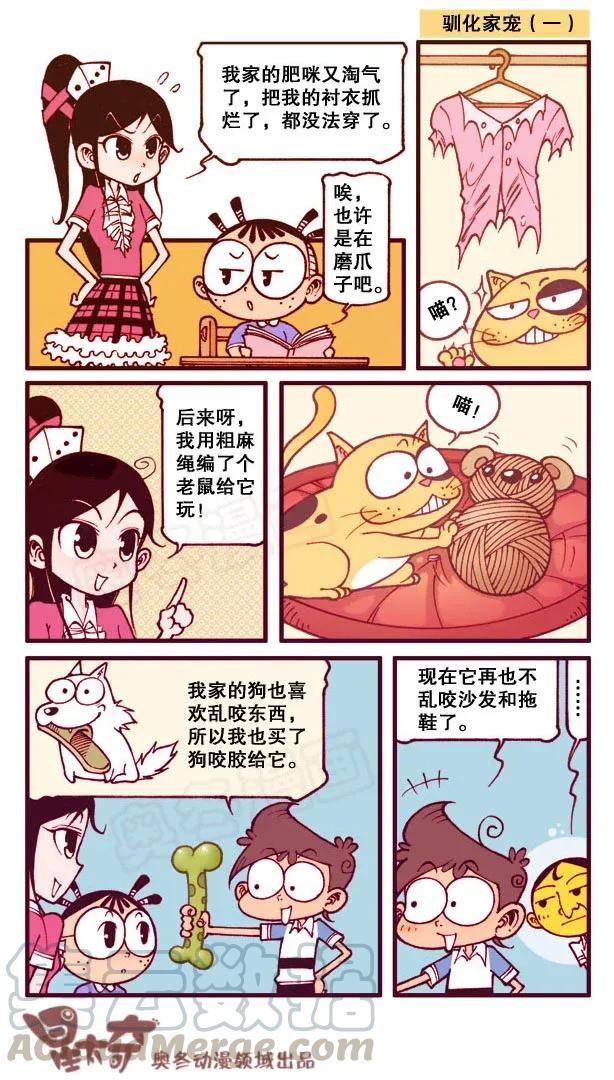 星之151 驯化家宠4