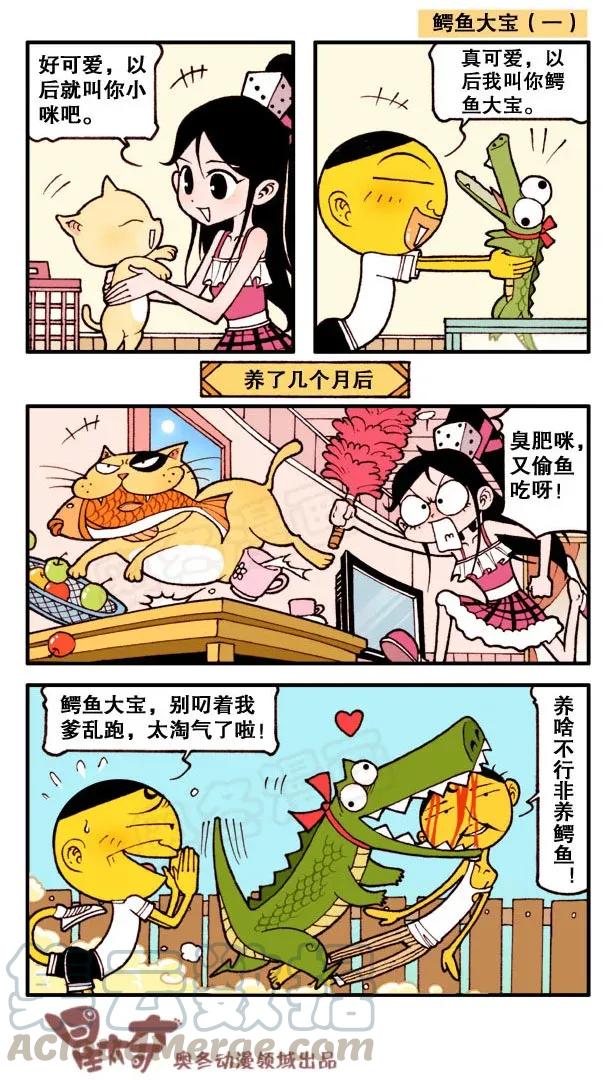 星之154 鳄鱼大宝4