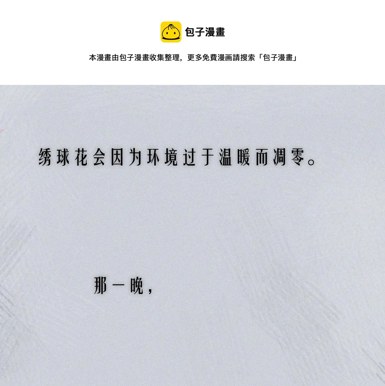 番外篇 她与她的物语0