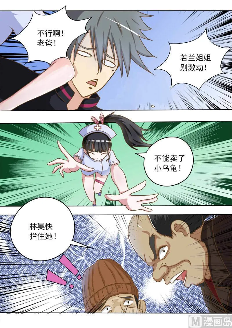 中华神医扁鹊漫画,第016话 破龟这么值钱5图