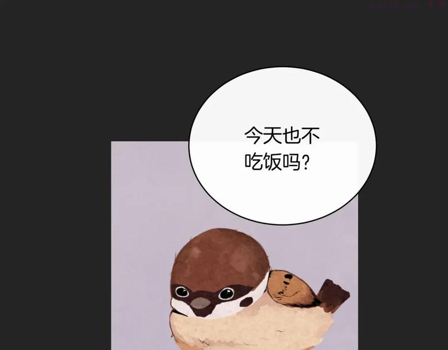 第36话 选择的权利0