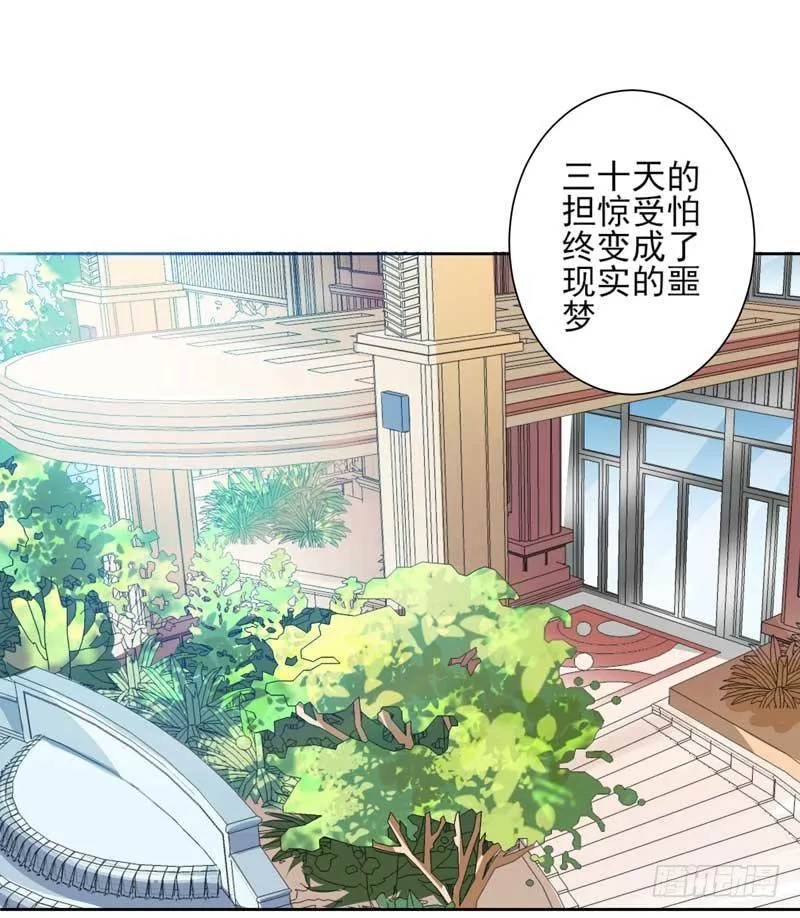 004.少爷回来了1