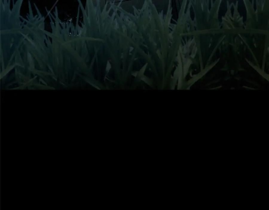 我的守护女友漫画免费下拉奇漫屋漫画,4584图