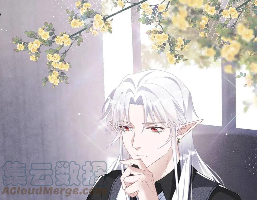 第41话 你听我解释！0