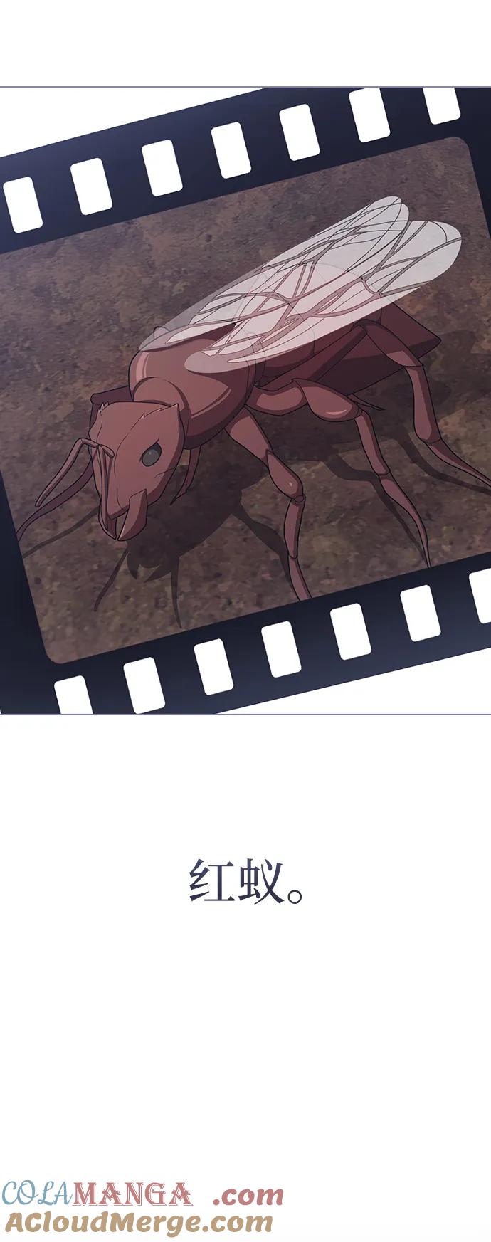 被塔诅咒的猎人~漫画,第210话1图