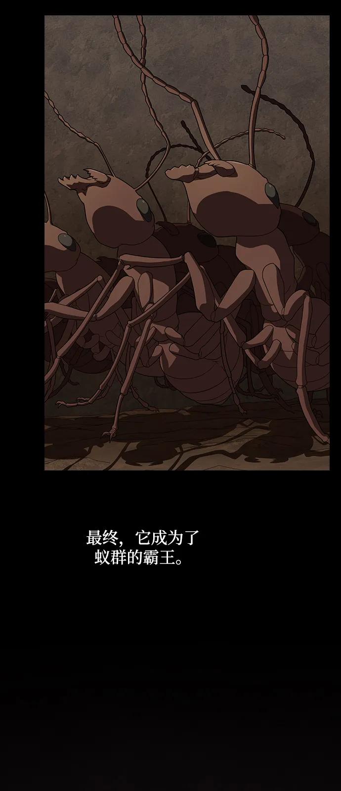 被塔诅咒的猎人~漫画,第210话4图