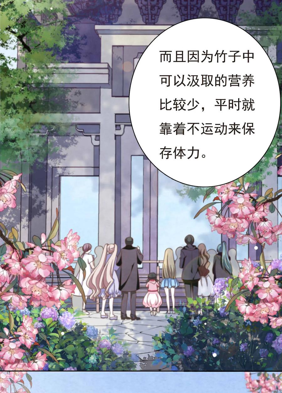 第1话1 我变成熊猫了？！3