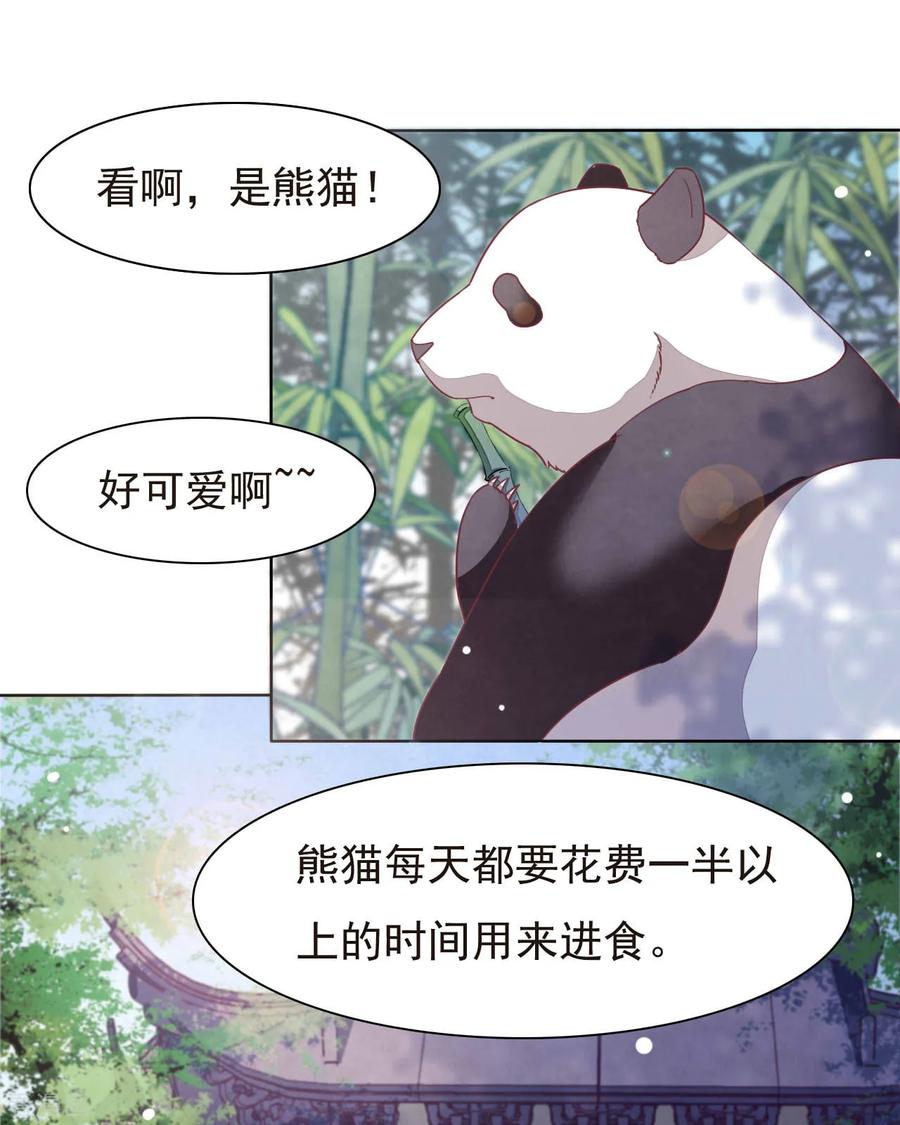 第1话1 我变成熊猫了？！2