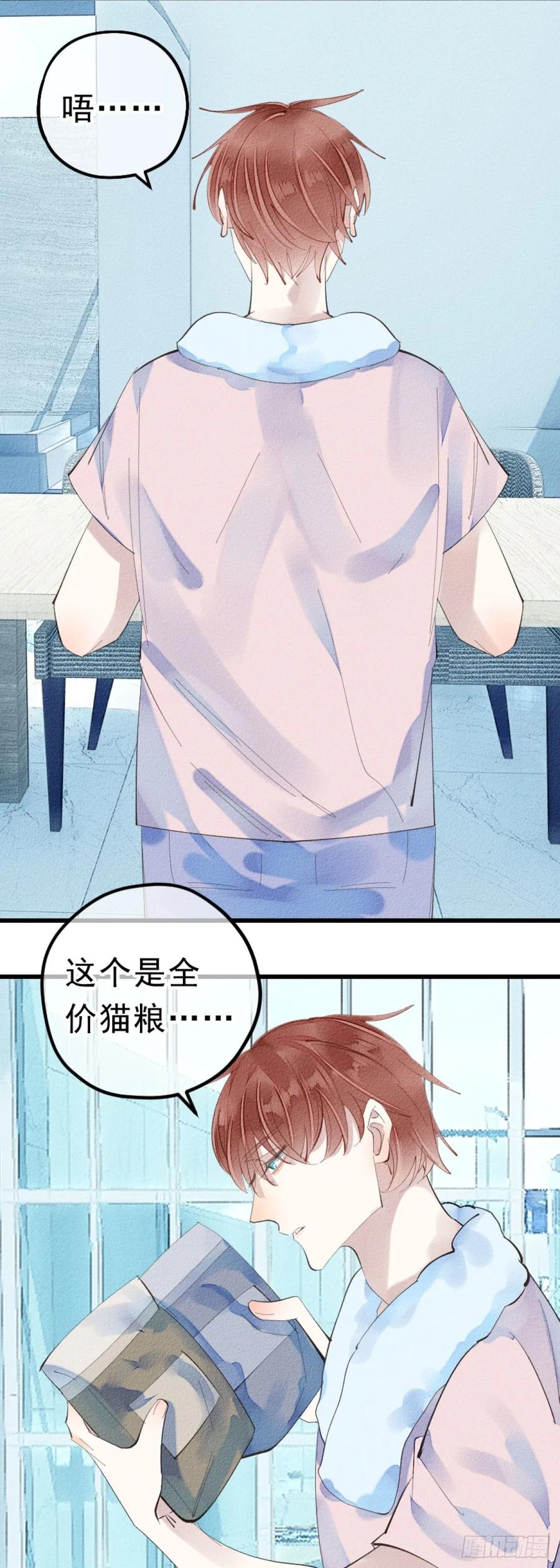 5.终于把小猫咪拐回家了！1