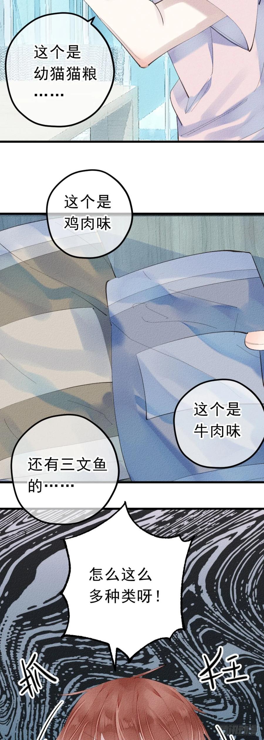 5.终于把小猫咪拐回家了！2