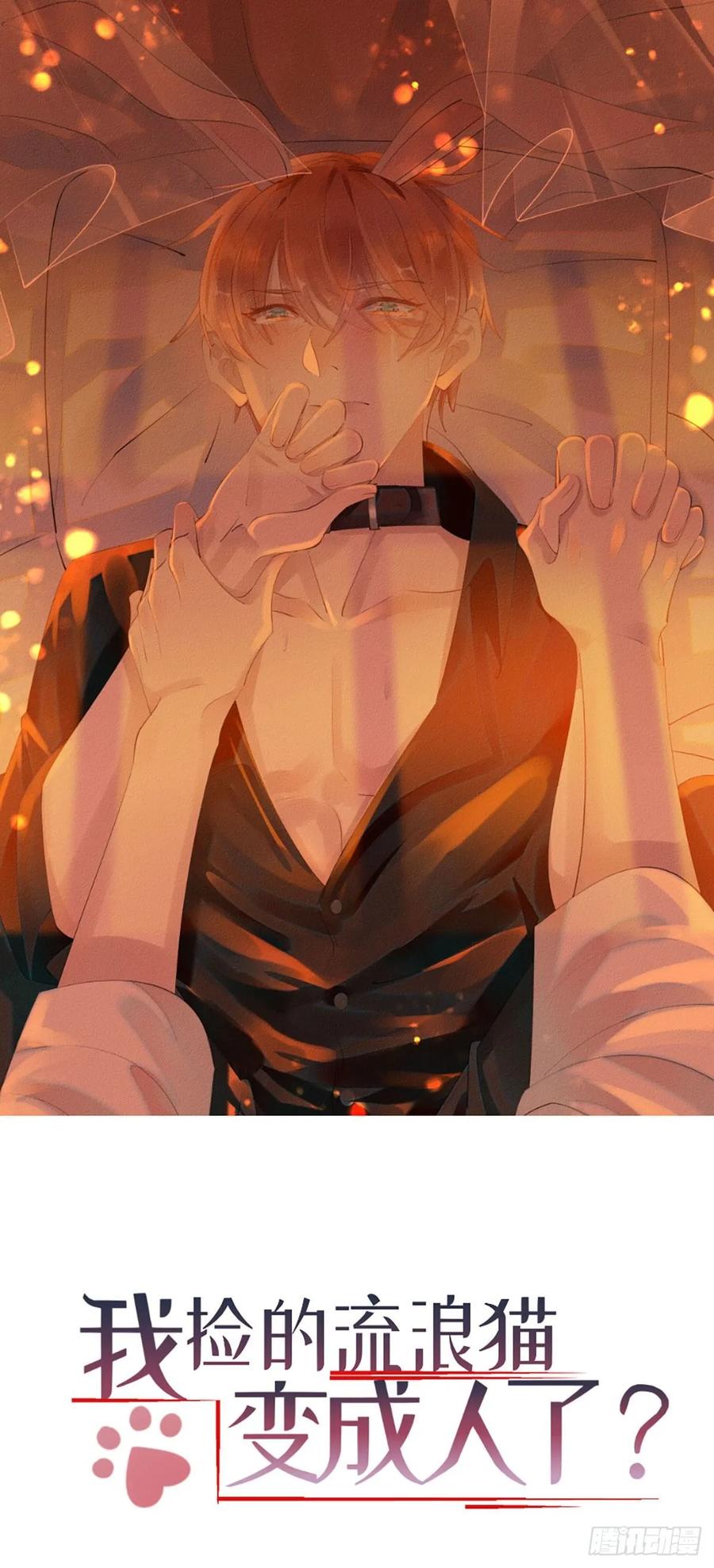 3.震惊，猫咪居然会说话0