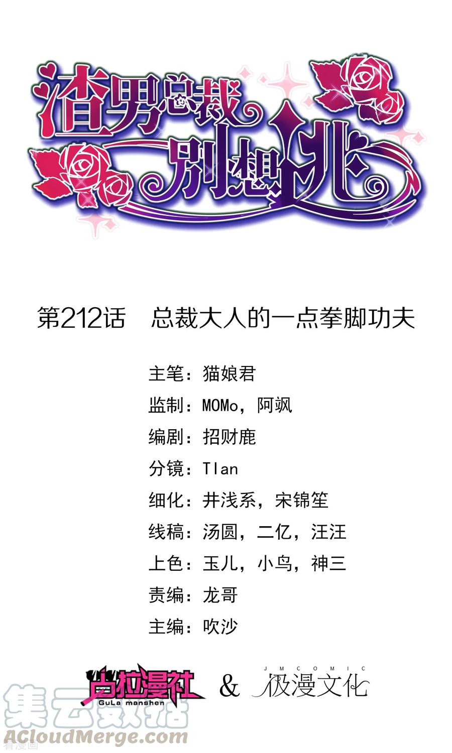 第212话 总裁大人的一点拳脚功夫0