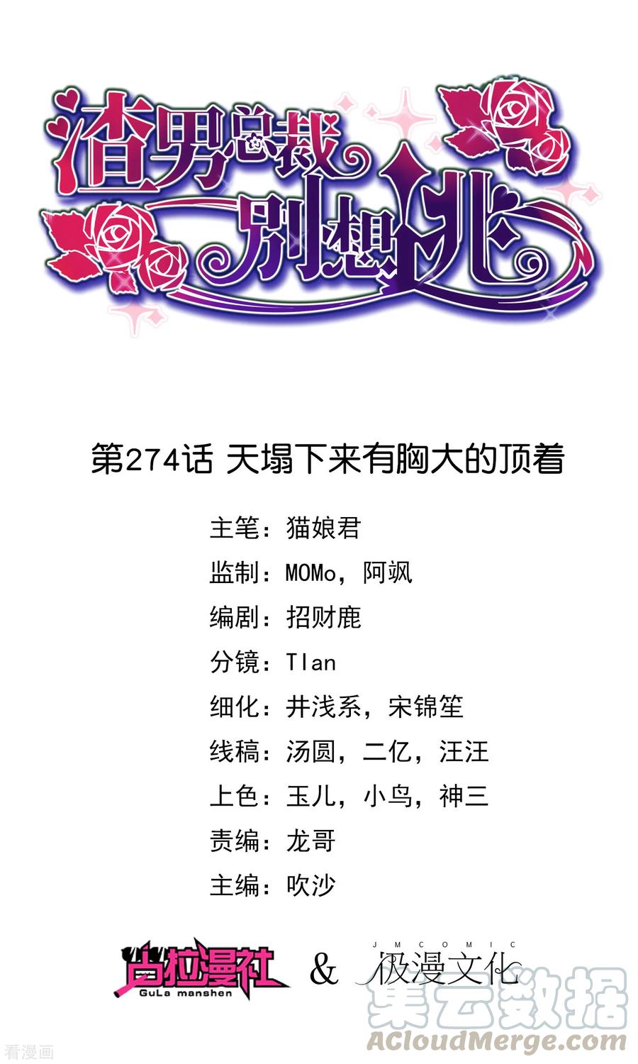 第274话 天塌下来有胸大的顶着0