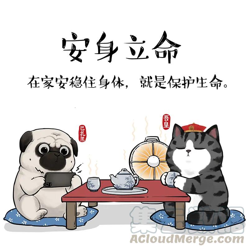 14 《吾皇巴扎黑防疫指南》白茶0