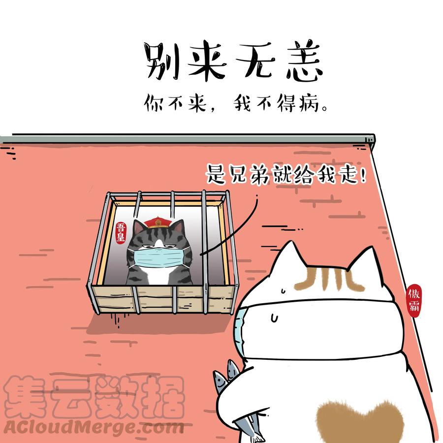 14 《吾皇巴扎黑防疫指南》白茶4