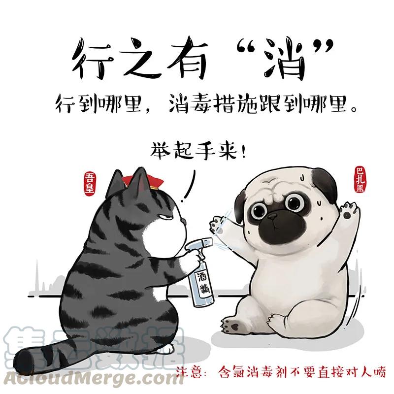 14 《吾皇巴扎黑防疫指南》白茶2