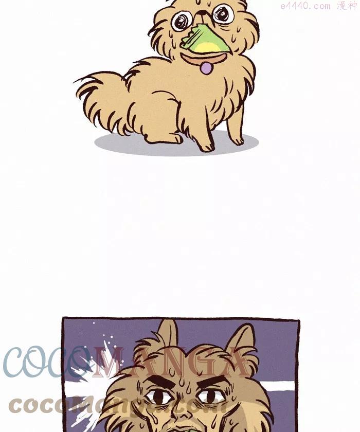 第206话 包装纸4