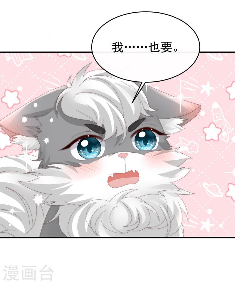 第85话 小动物也争宠？4