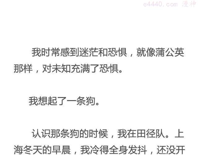 像狗一样奔跑 _ 里则林3