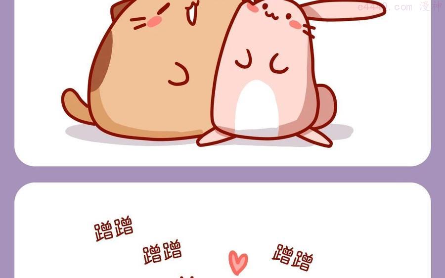 第86话 肥喵爱撒娇1