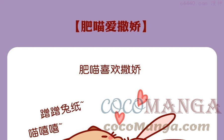 第86话 肥喵爱撒娇0