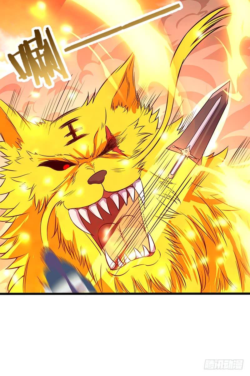 第67话 力战金毛虎王1