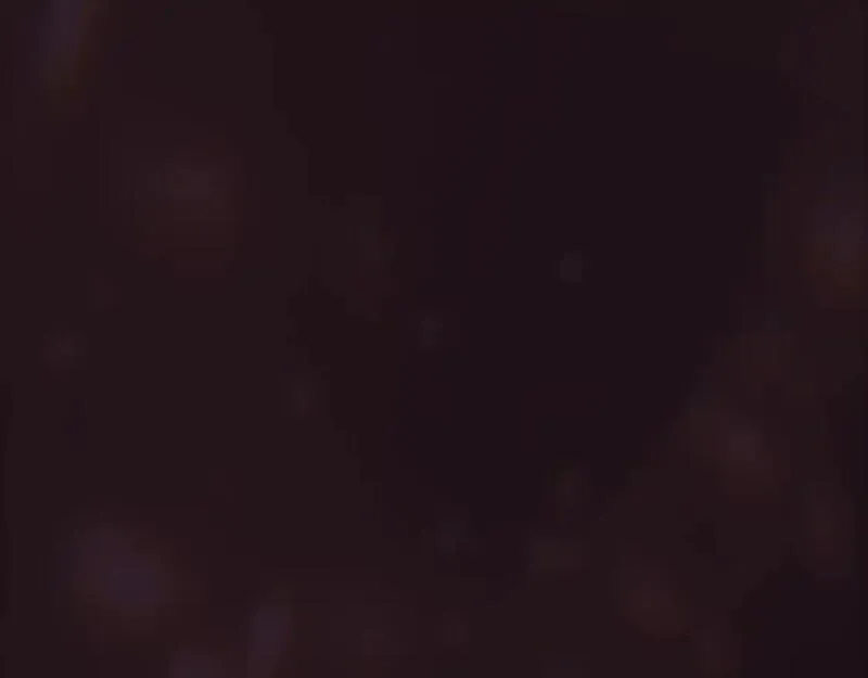 第117话 心意相通0