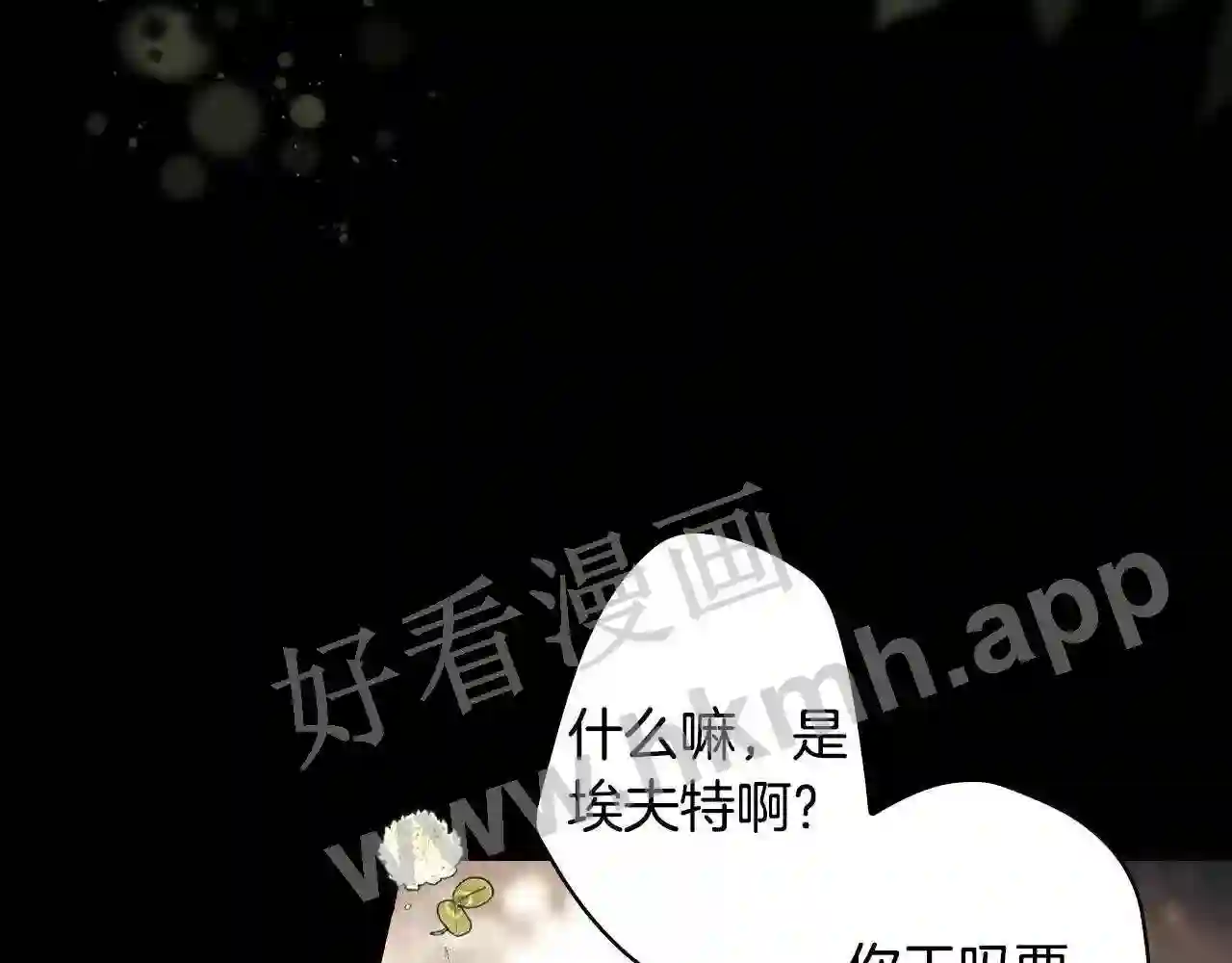 某个继母的童话~漫画,第95话 夫人的教养4图