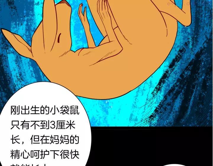 第139话 袋鼠（下）1