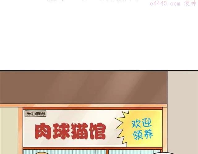 第13话. 指引方向的猫3