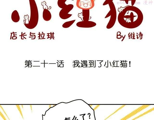 第21话 我遇到了小红猫！1