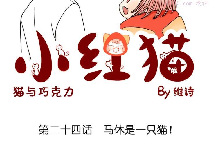 第24话 马休是一只猫！3
