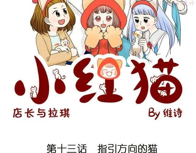 第13话. 指引方向的猫2