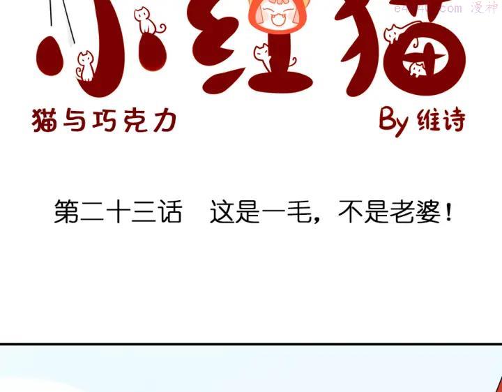 第23话 猫与巧克力1