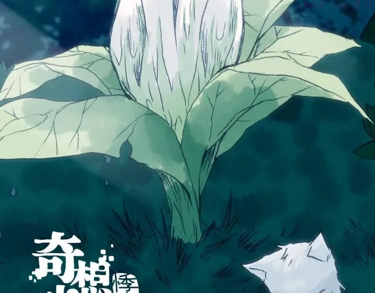 第42话 生长的美少年（三）1