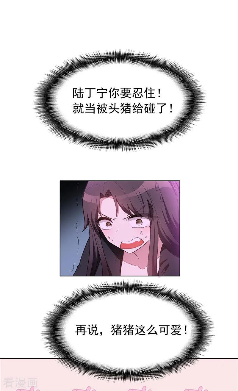 纯情陆少~漫画,第42话 猪猪那么可爱！4图