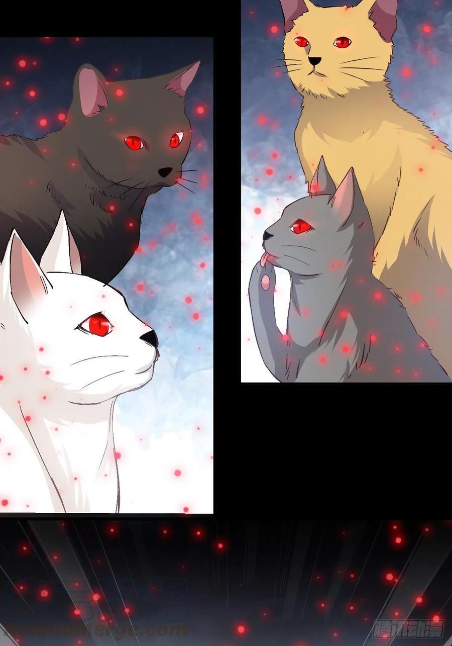 109 野猫杀手（4）4