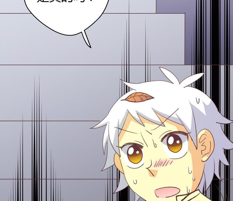 第65话 落叶的捷径13