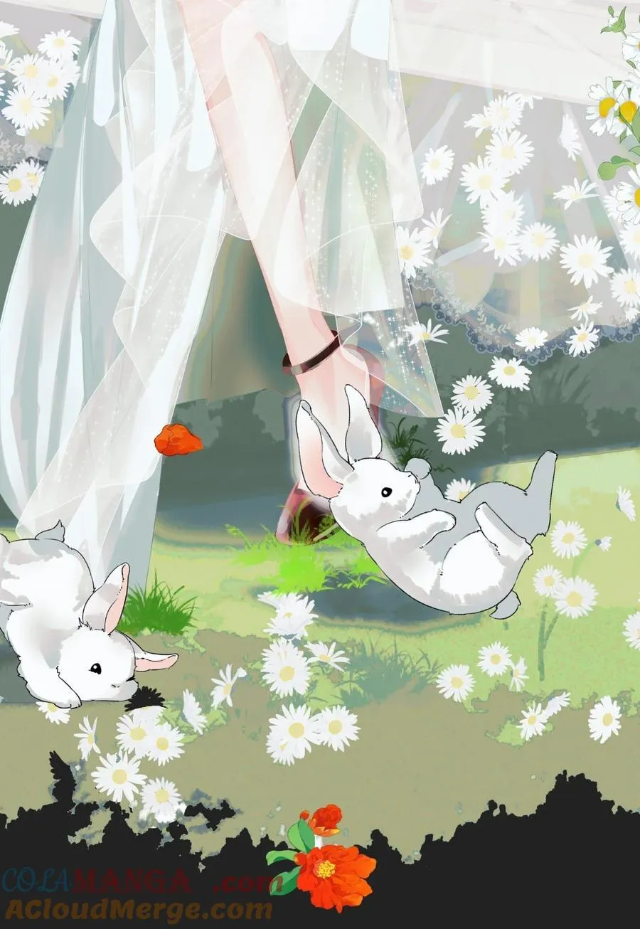 预告 新卷预告1