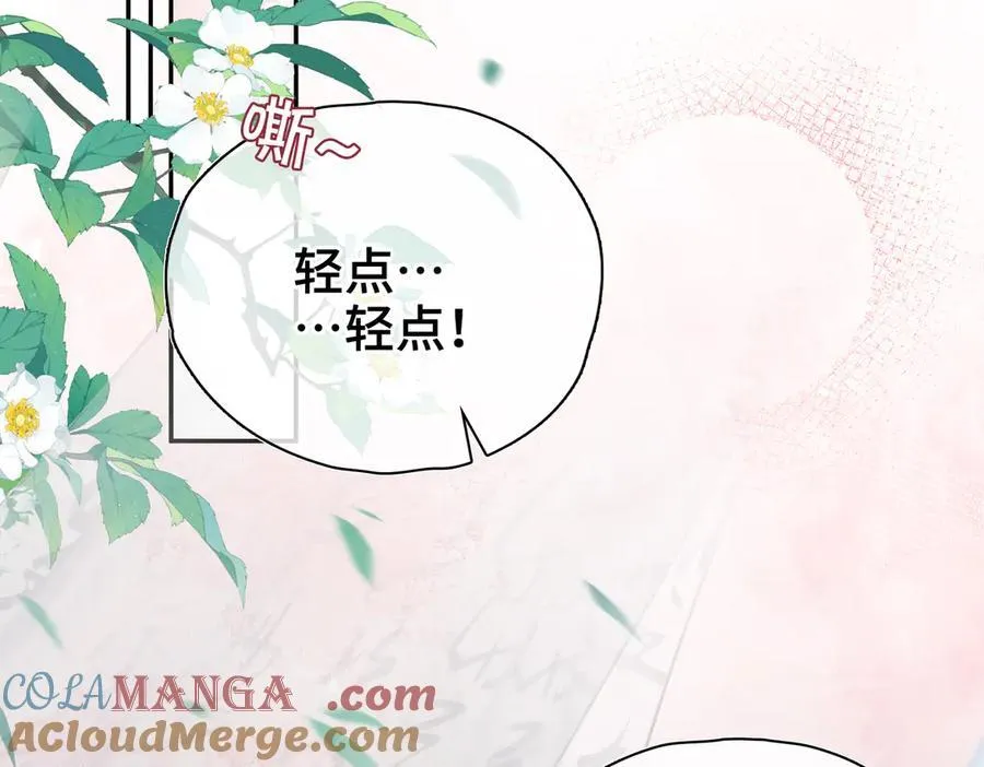 贪欢短剧免费全集漫画,番外 飞天猫（6）5图