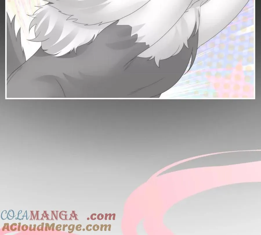 妻主，请享用漫画,142 天喜红鸾 下（完结）5图