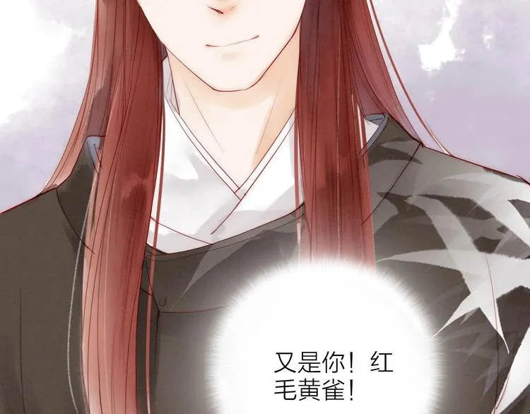 人面桃花两相宜漫画,第65话 红毛黄雀5图