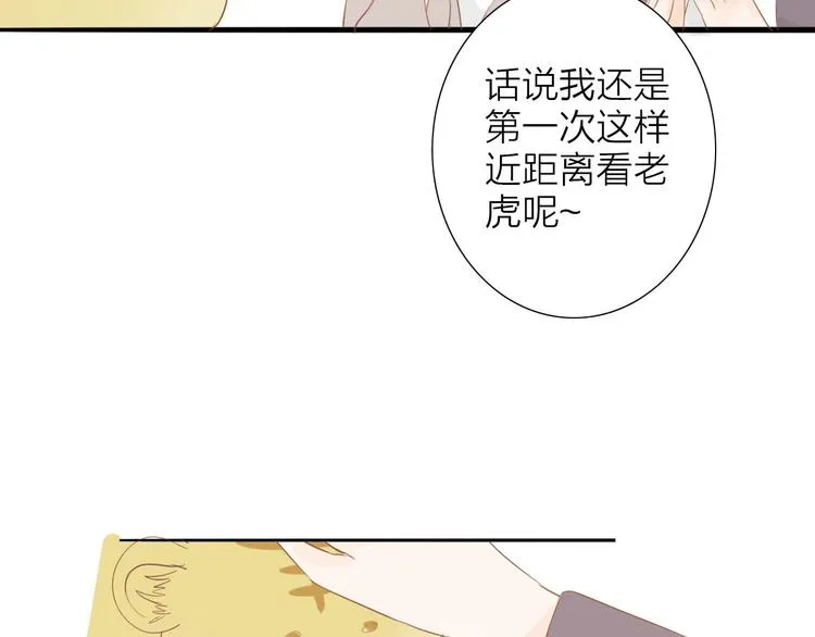 人面桃花两相宜漫画,虎虎小剧场5图