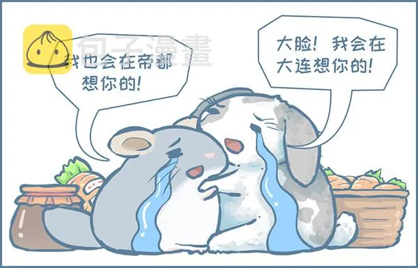 我家有只小龙猫漫画,第145个小故事（下）5图