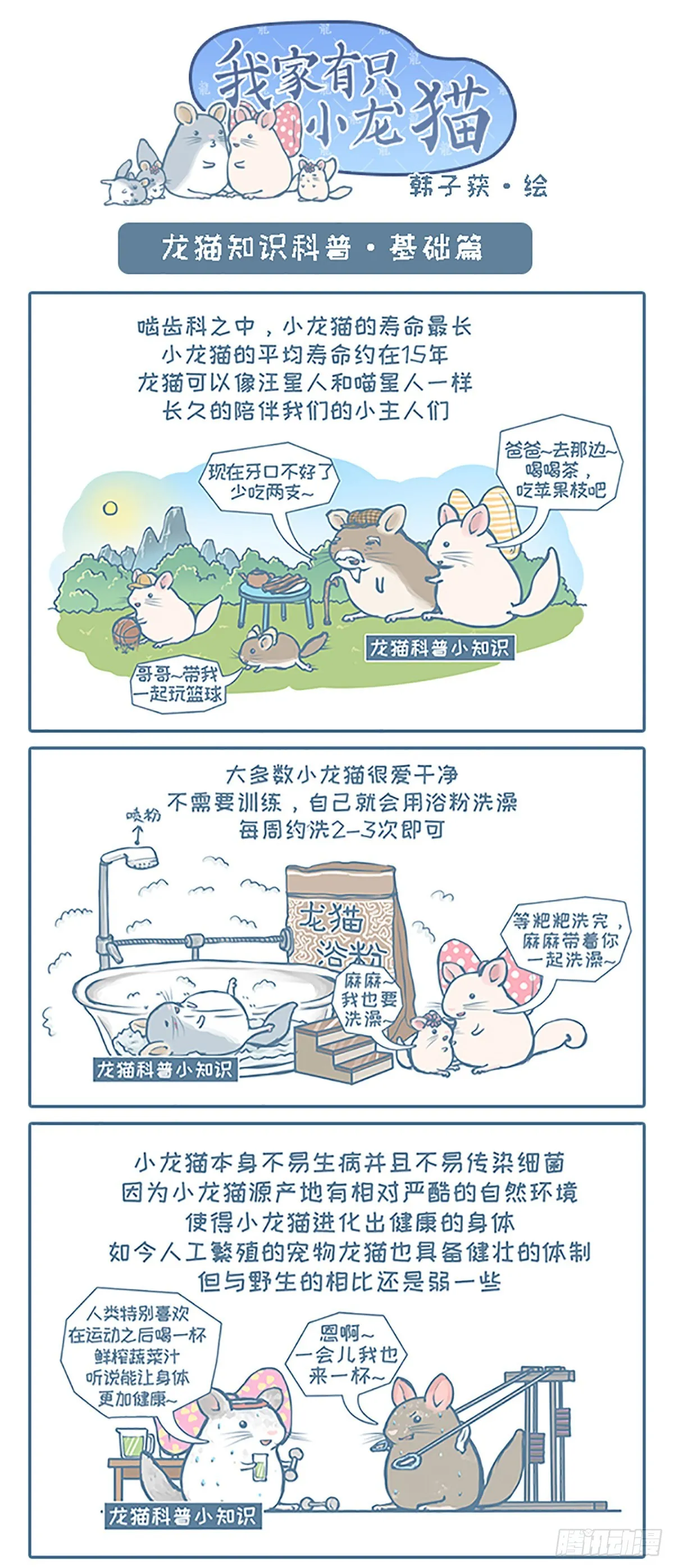 我家有只小龙猫漫画,第101个小故事1图