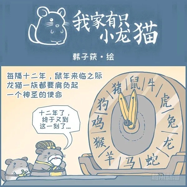 我家有只小龙猫漫画,鼠年龙猫族的礼物（2）1图
